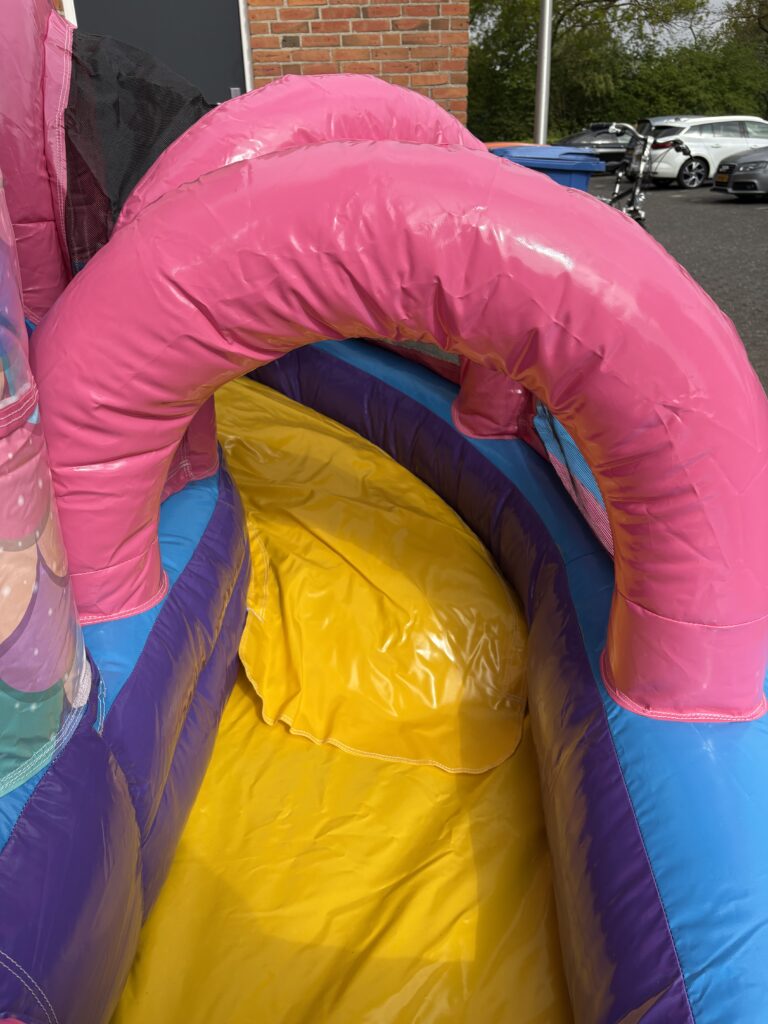 Glijbaan van het Zeemeermin Mini springkussen
